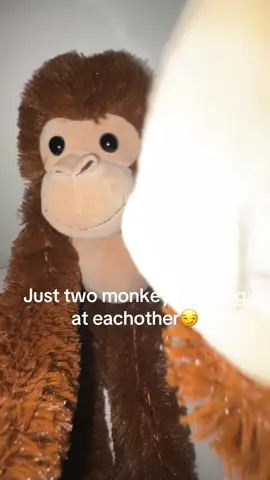 #monkey#ikeamonkey#makemefamous#slayyy your a pretty monkey tho 🙈