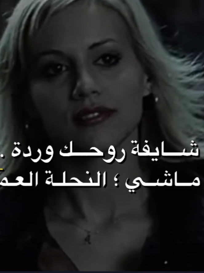 🌹🐝 . #algeria #fouryou #fyp 