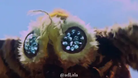 he’s just a lover girl #edit #fyp #viral #godzilla #mothra @laufey @Godzilla x Kong 