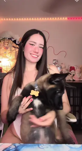 Ta panzona porque acaba de comer 🐶💖