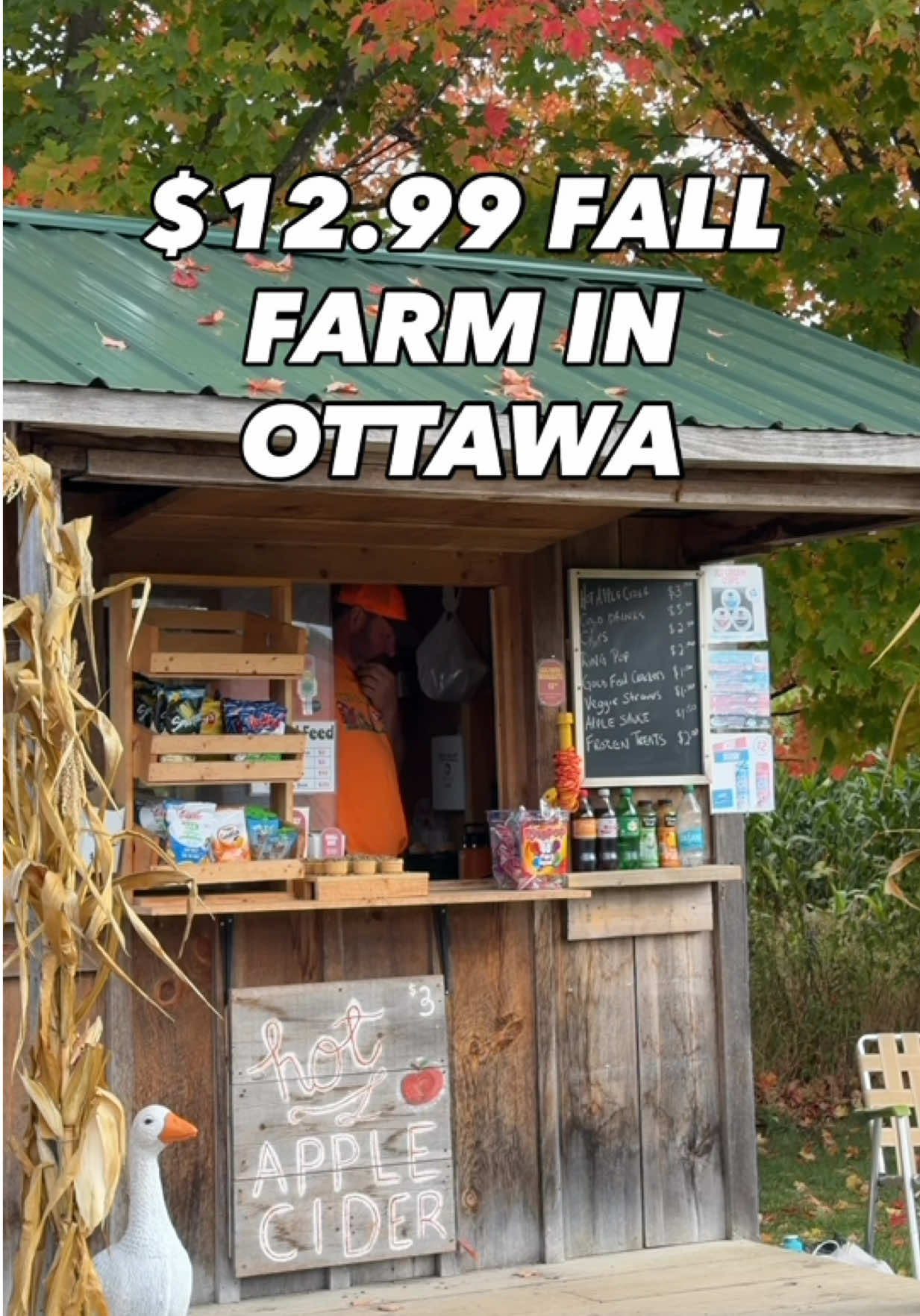 Ottawa’s $12.99 Fall Farm (Corn Maze, Hay Rides, & Farm Animals) 🍂🚜☕️ The Log Farm is just 20 minutes from Downtown Ottawa and just might be the best priced fall farm in the city.  🐴 Farm animals including alpacas, goats, sheep, miniature donkeys, cows, and ducks 🚜 Tractor rides running every 30 minutes 🌽 Free-roam corn maze ☕️ Farmers market favourites like homemade cider, fudge, soups, and more 🎃 Pumpkin picking in October and a Halloween Barnyard Bash on the 23rd - 26th and 30th - 31st Be sure to SAVE this post for your fall weekend adventure planning 🍂 ⁣ ⁣ ⁣ ⁣ #ottawa #farm #ottawatiktok #fall 