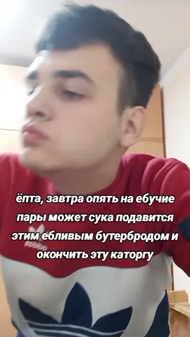 #приколы