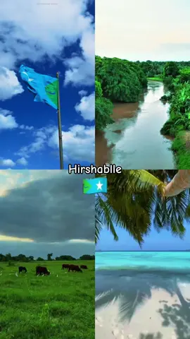 @Ismail aarka official Hoyga dalaga❤️🩸#hirshabelle💙🤍💚 