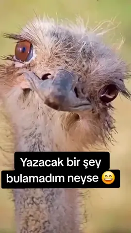 #anılar 