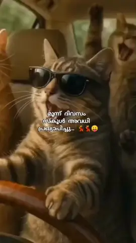 നവരാത്രി ആഘോഷത്തിന്റെ ഭാഗമായി സംസ്ഥാനത്ത് സ്കൂളുകൾക്കു നീണ്ട അവധി 😄😄😄എൻജോയ് എൻജോയ് എൻജോയ് #virelvedio #navarathriholidays #kerala#pageforyou #ttending 