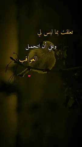 #اقتباسات #عبارات #ايرين #تعلقت بما ليس لي وعلي أن اتحمل العواقب