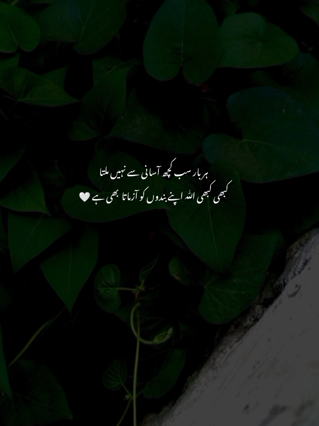 🌚🤍 | #Ziroox #fyp #foryou #foryoupagе #sad #sadpeotry #sadshayri #urdu #urdypeotry #urdushayari 