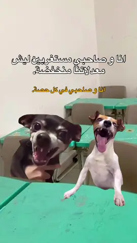 طاقيه🤣🤣🤣.  #fyp #viral #explore #الشعب_الصيني_ماله_حل😂😂 #مالي_خلق_احط_هاشتاقات #foryou #memes #منشن_للي_تحبه #طاقيه_طاقيها😁❤️💍 #حقيقة #ميمز_العرب 
