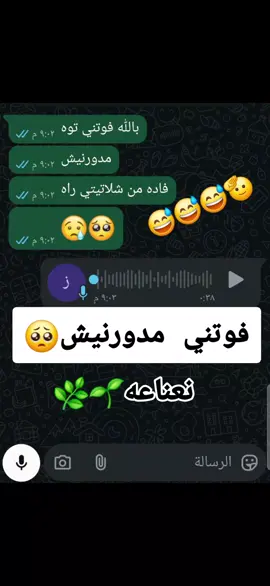 @💚✊شامخ العجيلي ✊💚   #ليبيا_طرابلس🇱🇾🇱🇾🇱🇾  #ตามจังหวะ  #ترهونه_طرابلس_بنغازي_اجدابيا_البيضاء  #الشعب_الصيني_ماله_حل😂😂  #CapCut 