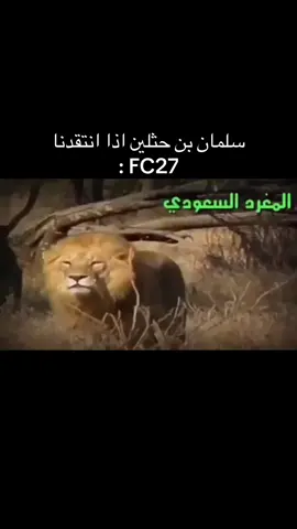#اكسبلور #غابة #غابات #حيوانات #حيوان اس
