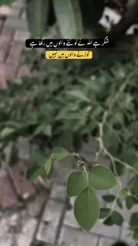 #viral #trending #foryou #foryoupage #islamic_video 
