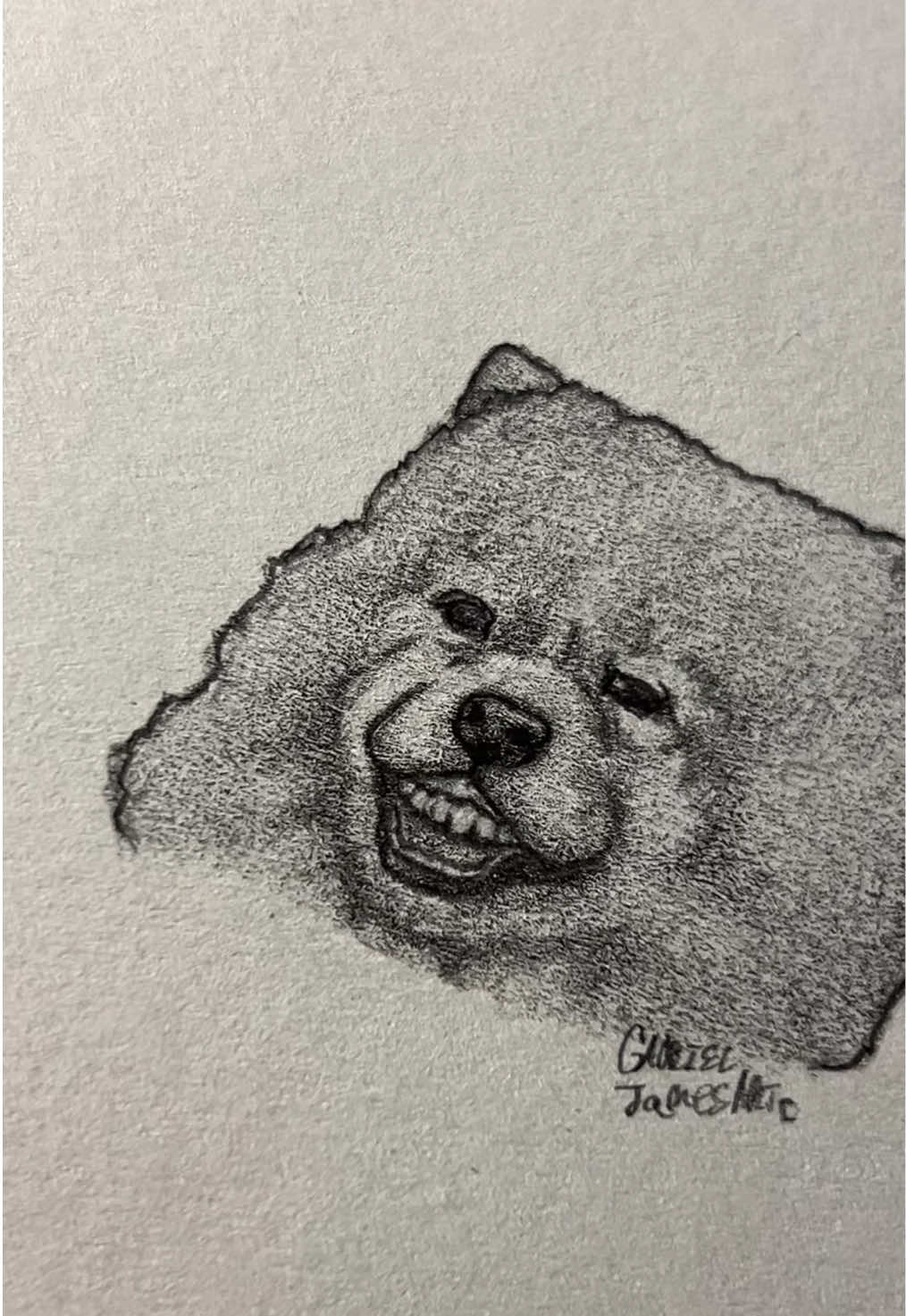 His teeth now🥀     Credit- Netflix.decode/IG     #fyp #art #dog #linkinpark #foryouuuuuuuuuuuuu 