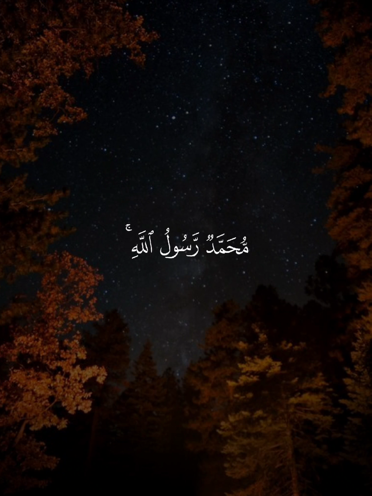 #اللهم_صلي_على_نبينا_محمد #اللهم_صل_وسلم_على_نبينا_محمد #قران_كريم #quran #قران 