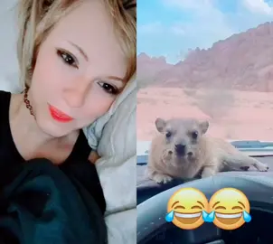 #duet with @funny_animals796 #funnyvideo this is so hilarious 😂😂 haha to duet lol 😂😂😂😂
