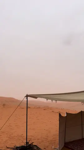 اعلن دخول سهيل زعاق الارصاد🥺⛈️.  #الشتاء #سهيل #saudiarabia #القصيم #البر 