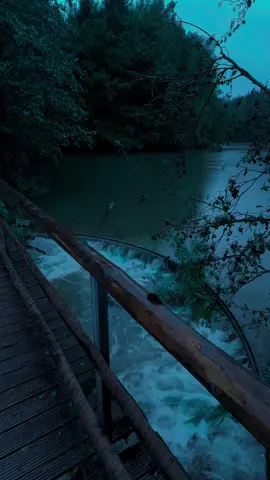 🌧️🌧️🌧️#nature #calm #darkaesthetic #naturephotography #foryоu 