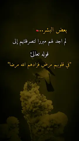 #اقتباسات #عبارات #ايرين #بعض البشر... لم اجد لهم مبررا لتصرفلتهم إلى قوله تعالى 