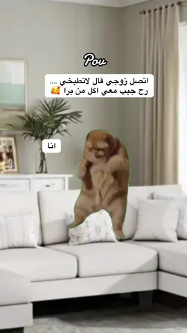 #Meme #Memeيسعد الله 😂😂😂# #الشعب_الصيني_ماله_حل😂😂 #مالي_خلق_احط_هاشتاقات🧢 #fyp 