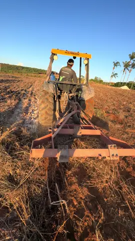 Preparando o solo para o plantio do café!! Alguém chuta que variedade vamos plantar aqui ???#hortadojapão🌱🥬🇧🇷 #tiktokagro #cafeicultura #plantio #trator 