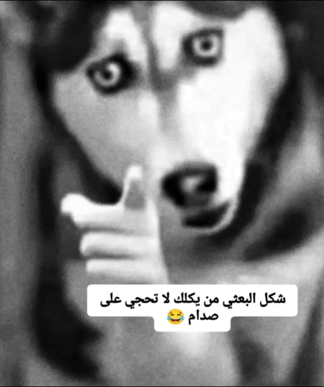 #هيئه_الحشدالشعبي# #البعثيه#  #اكسبلورexplore 
