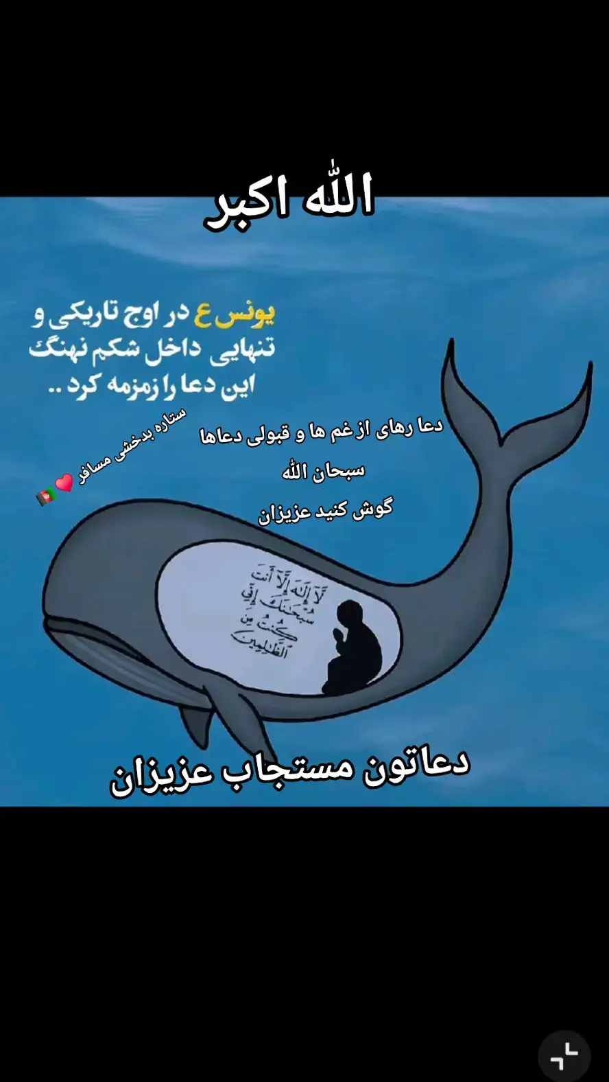 #خدایا_توکل_بر_خودت🤲🏻🤍 #صلوات_الله_عليك_يا_حبيبي_يا_رسول_الله #تاجیک_هزاره_ازبک_پشتون_ترکمن🇦🇫 #❤️❤️❤️❤️❤️❤️❤️❤️❤️❤️❤️❤️ 