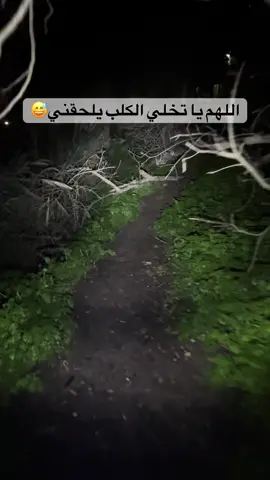 اللهم لا تخلي الكلب يلحقني🤣