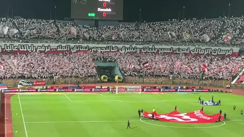 لحظة نزول اللاعبين ودخلة الزمالك  #زمالك #اهلي #pdf