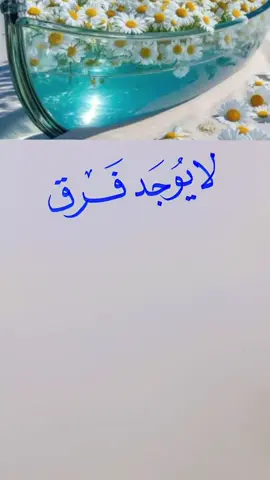 #الخطاط_شفاف  #بعض_البشر