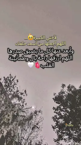 منشن لأختك الكبيرة🥹🫀🤍@أم ميس ❤ امين يارب🤲🏻#أم_حمودة👑 #أم_ماسة_سيما_عسل👑 #أم_محمد_وماسة_وسيما_وعسل🤍 #بيبي_عسولة🎀🍯 #دودو_الفرفوشة👑 