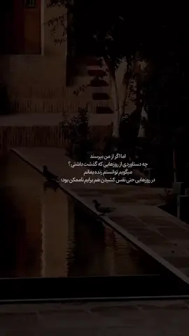 🖤🩶...