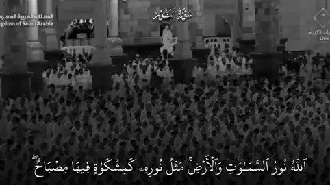 خُشوع وترتيل يلامُس القلب اللهم بارك 🥹🥹❤️❤️#ماهرالمعيقلي #قران_كريم #سورة_النور #ايات_قرانيه_تريح_القلب #مكه_المكرمه_المملكه_العربيه_السعوديه 