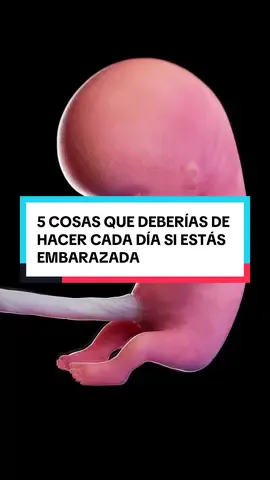 🤰 5 cosas que deberías hacer cada día si estás embarazada (los beneficios te sorprenderán): 1️⃣ Yogur natural con frutas → calcio + probióticos para huesos fuertes y buena digestión (mamá y bebé). 2️⃣ 1 naranja al día → hidrata, mejora absorción de hierro y previene anemia. 3️⃣ Reduce la sal → evita hinchazón, cuida la presión arterial y la circulación. 4️⃣ Un vaso de agua tibia en la mañana → mejora la digestión y previene el estreñimiento. 5️⃣ Agua de coco (moderada) → hidratación profunda + minerales para el desarrollo cerebral y visual del bebé. 👉 Si tienes una amiga embarazada, compártele este video 💕 Síguenos para optimizar tu salud. #embarazo #mujer #salud 