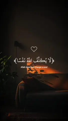 ✨ لا يُكلّف الله نفسًا إلا وسعها ✨ Allah does not burden a soul beyond its capacity 🌿 #قرآن #Quran #راحة_القلب #Peace #طمأنينة  