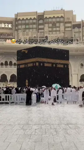 یارب بۆمی ئاسان بکەیت🕋🤲🏻#fvpシ♡ #fvp #التوحيد #التوبة #مدینہ_منورہ 