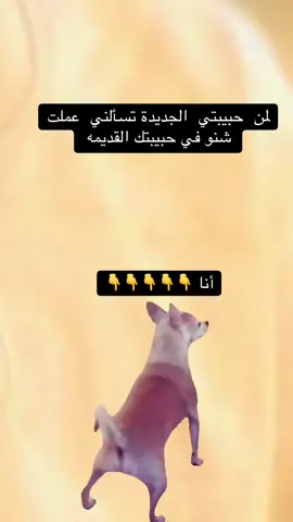 @ابــو𓄂ᬼحـᬼ🦅≛⃝ نـظـله𓅓¹ 👑 @🧃مـازن♢ 𝙆𝙖𝙗𝙧𝙖 🧃 @آلليہثہ🔒 آلمہتہمہرد ❤R.  S ❤F @♨️حسكو -_-🦅 #الشعب_الصيني_ماله_حل😂😂  