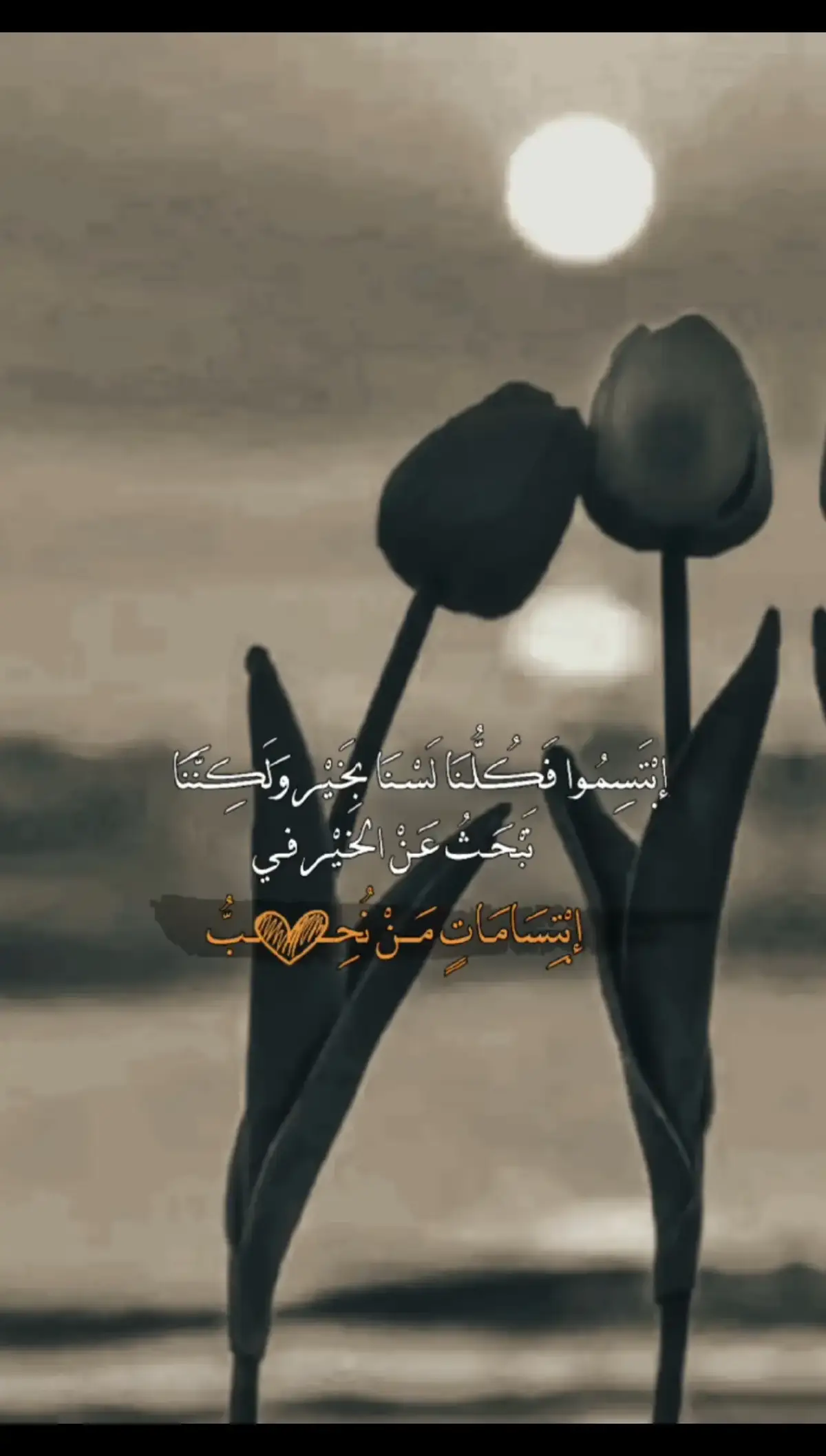 #فيدوهاتي______مجرد____ذووق🌹 #متابعه_ولايك_واكسبلور_فضلا_ليس_امر #اكسبلورexplore❥🕊🦋💚❤ 