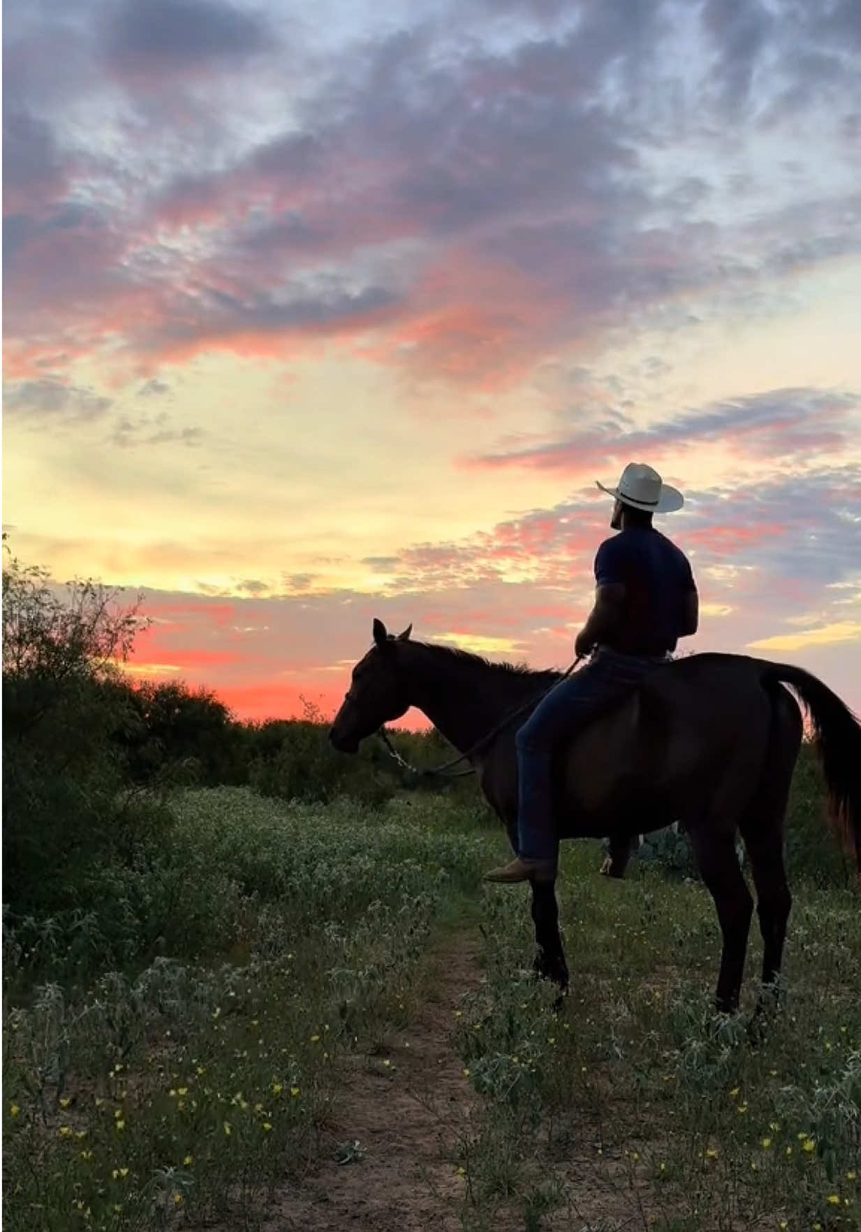 It’s getting harder and harder to keep weight on my boy the older he gets so I don’t get to ride him as much. But every now and again when God gets to showing out we catch a sunset together 🤞🏾 #mouse #PetsOfTikTok #texas #rescue #horses 
