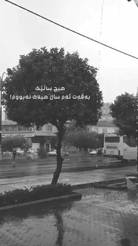 هیچ ساڵێک🌚💔…#foryoupage #ئەکتیڤبن🥀🖤ـہہـ٨ــہ 