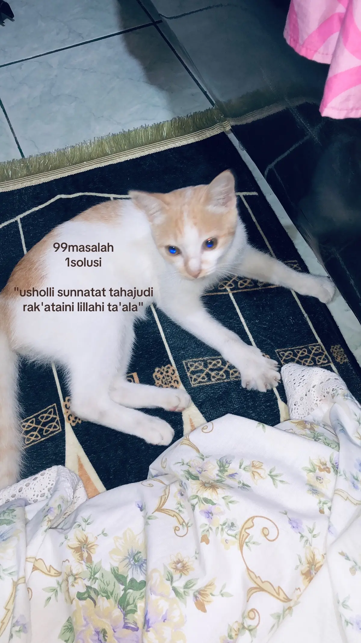 #tahajud 