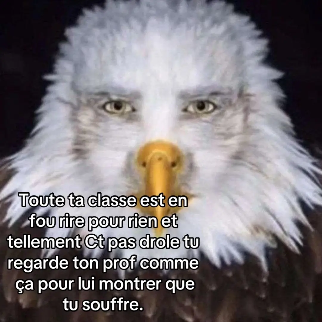 #humour #pourtoi