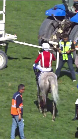TECRÜBE🏇🏼😁#horseoftiktok #hışmançizik #jokey #jockey