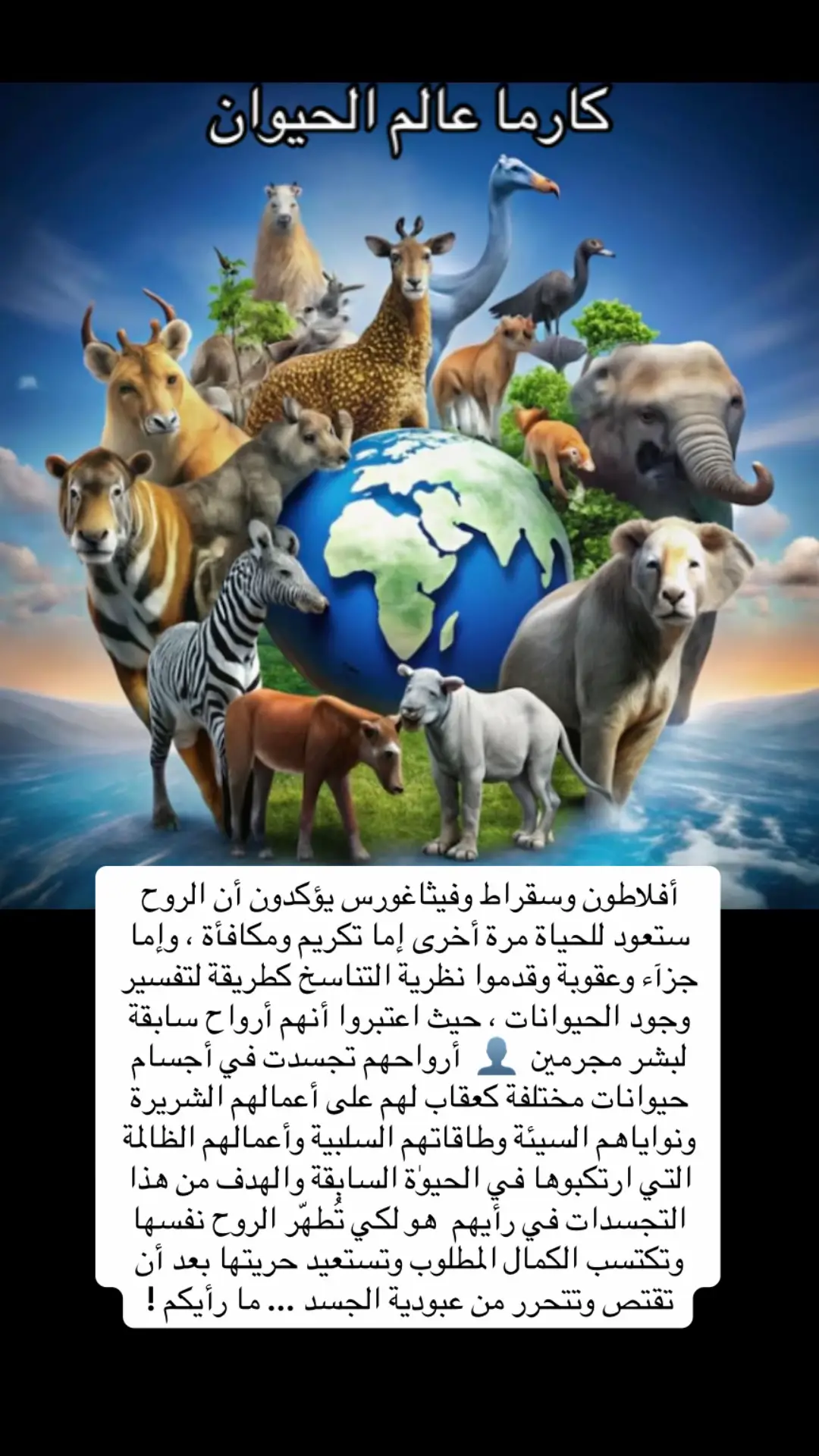 #الكارما #الحياة_السابقة #التجسد #ترند #اكسبلور