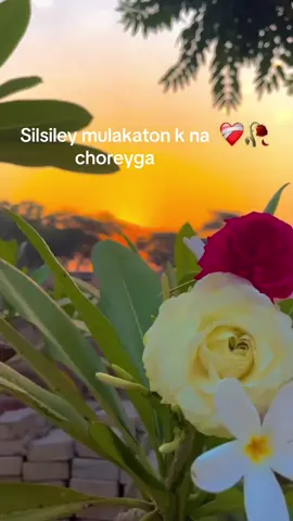 #foryouofficialpage 