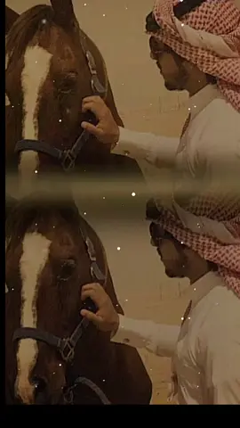 لك حنين القلب واشواقي 