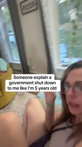 Seriously this explain it like I’m 5 #explainittome  #shutdown 