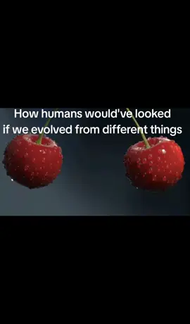 How humans would've looked if we evolved from different animals  #xyzabc #animal #fyp #memestiktok #evolution 