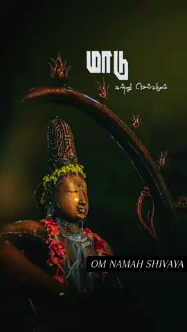 #lordshiva #mahadev #omnamahshivaya #shivadevotees #spiritualvibes 