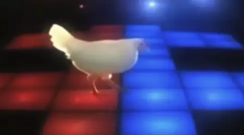 chicken song dance edit #chicken #song #edit #fyp 