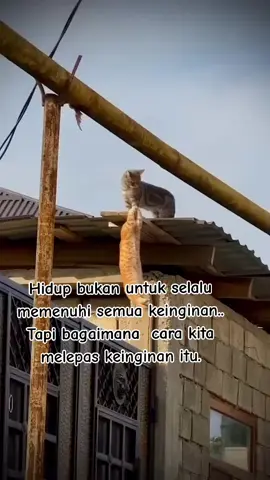 #Semoga Semua Mahkluk Berbahagia 🥺😔🙏🙏🍀🍀☺️☺️🌍💐💐💐##