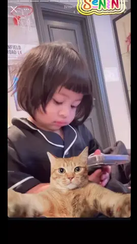 #lily #lilydut #anaklucu #raffinagita1717 #ranayma #ranaimamalikaraudiaandara #ama #fyppppppppppppppppppppppp #fypシ゚viral #fyp #ibukost #princeslily 